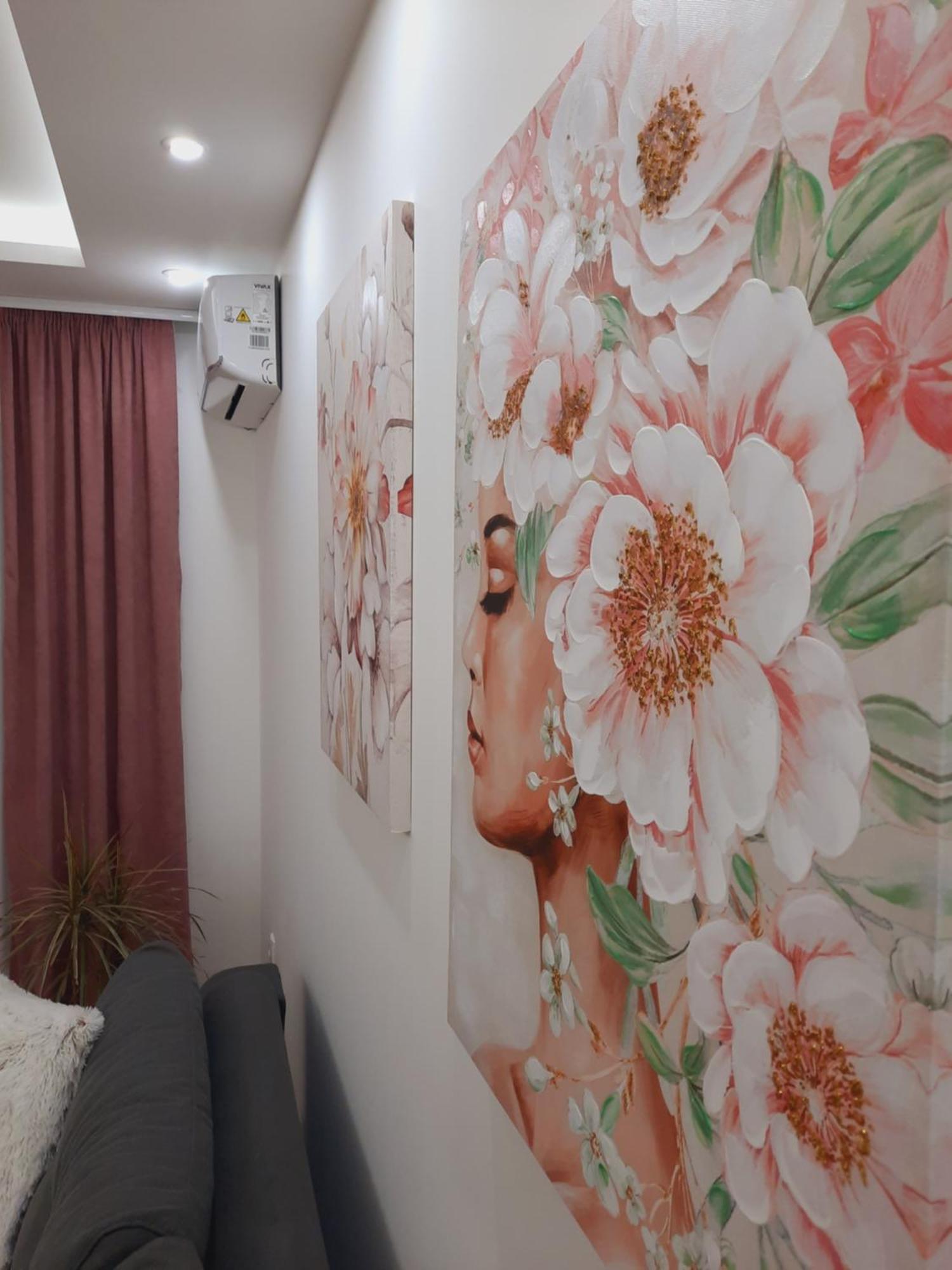סרמסקה מיטרוביקה Apartman Kristal מראה חיצוני תמונה